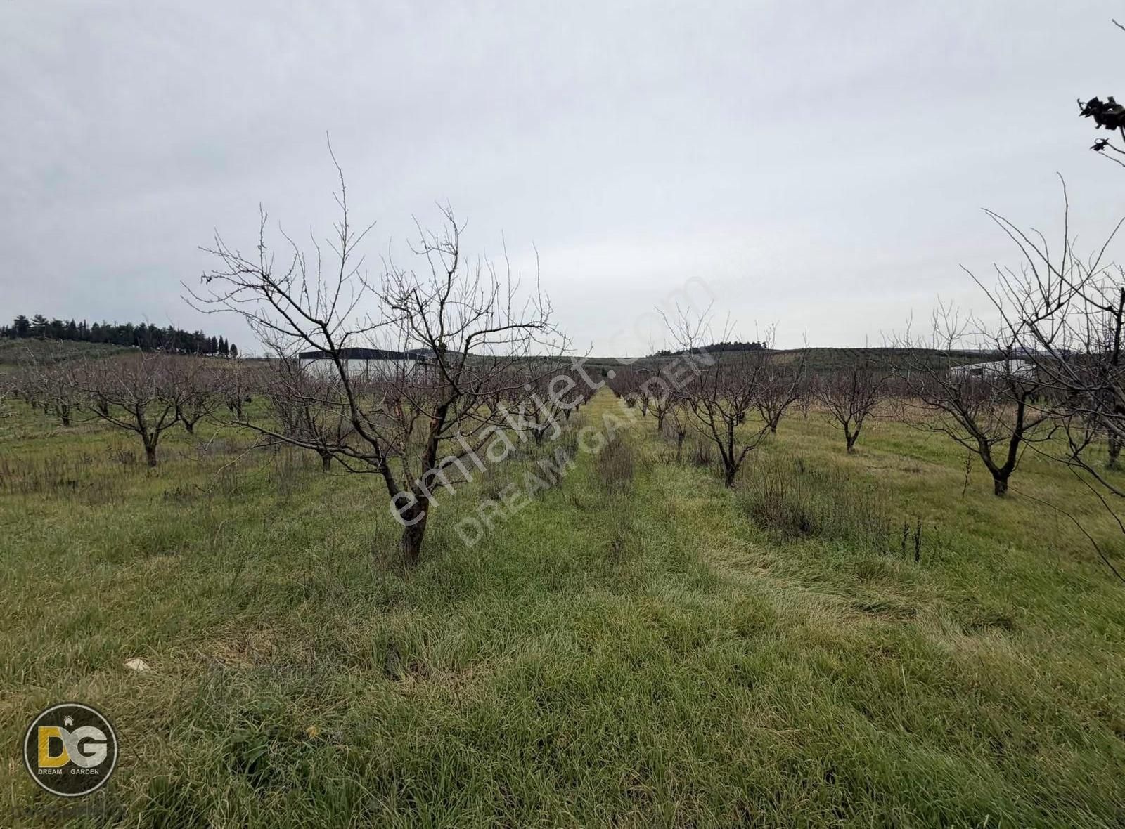 Bursa Osmangazi Aksungur Köyünde Ashalta Cephe Satılık Tarla - Görsel 3
