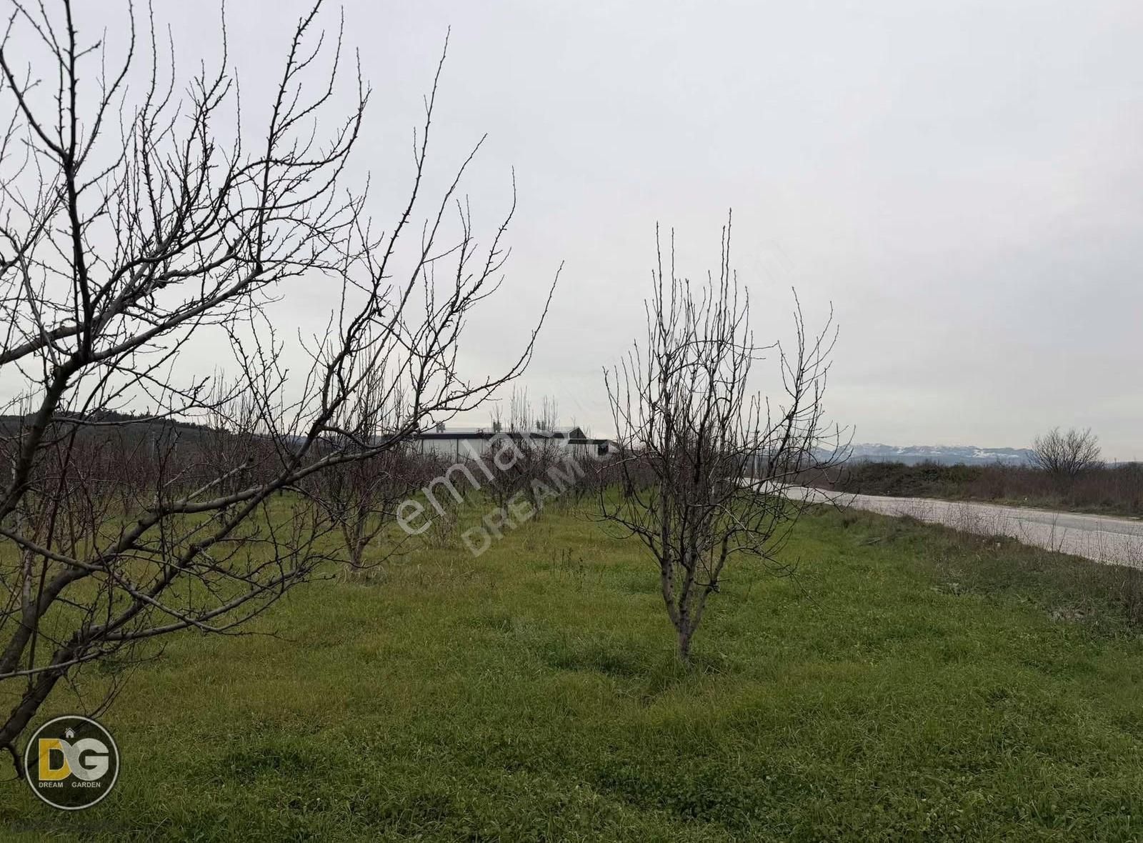 Bursa Osmangazi Aksungur Köyünde Ashalta Cephe Satılık Tarla - Görsel 11