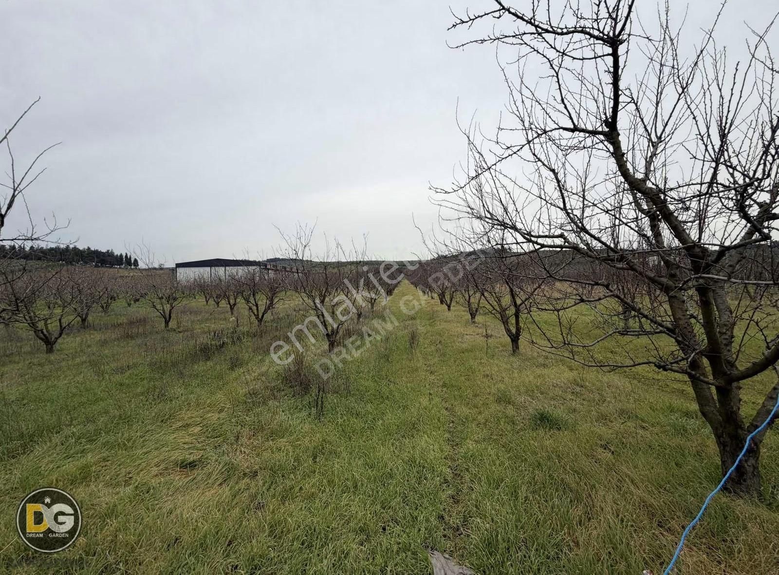 Bursa Osmangazi Aksungur Köyünde Ashalta Cephe Satılık Tarla - Görsel 7