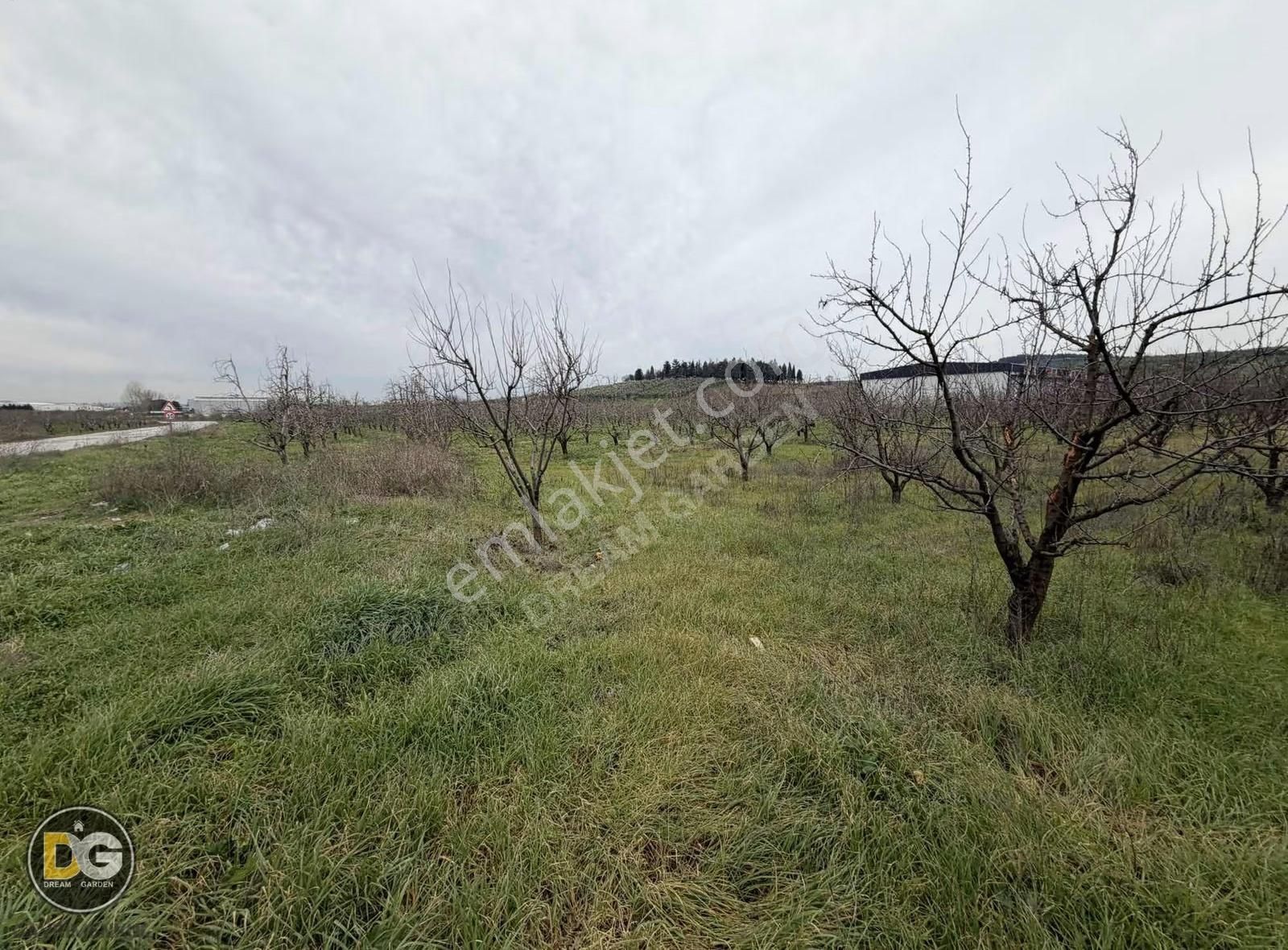 Bursa Osmangazi Aksungur Köyünde Ashalta Cephe Satılık Tarla - Görsel 5