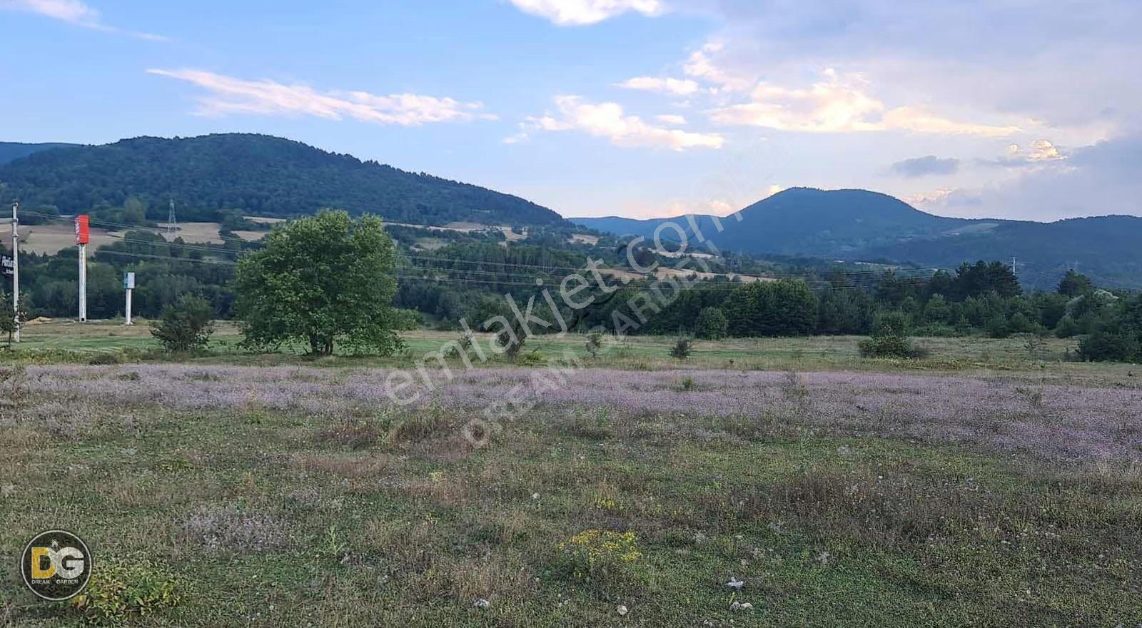 Bolu Merkez Ericek Mahallesinde Satılık Tarla - Görsel 3