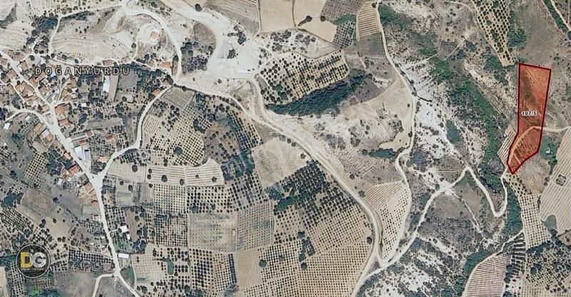 Bursa İnegöl Doğanyurdu, 10 Dönüm, Tek Tapu, Bulunmaz Fiyat