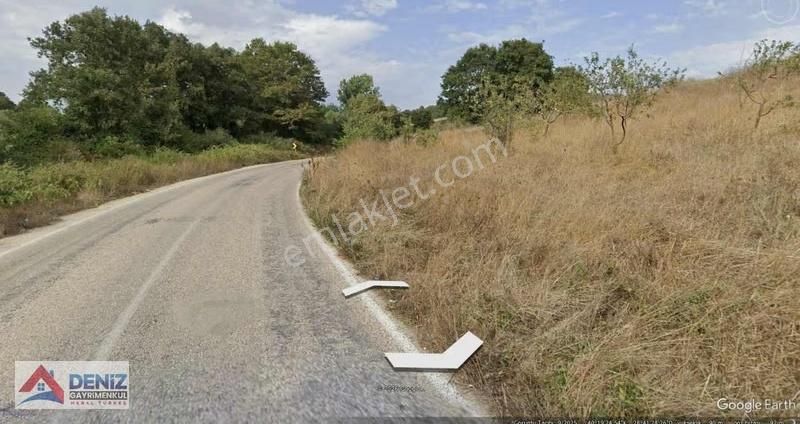 Mudanya Esence 5900 M2 Satılık Tarla - Görsel 6