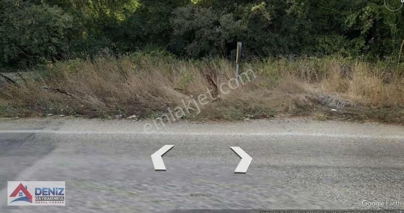 Mudanya Esence 5900 M2 Satılık Tarla - Görsel 4