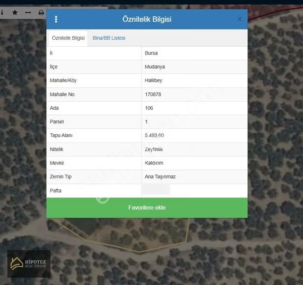 Hipotez'den Mudanya Halilbey'de Yola Cephe Satılık Zeytinlik - Görsel 2