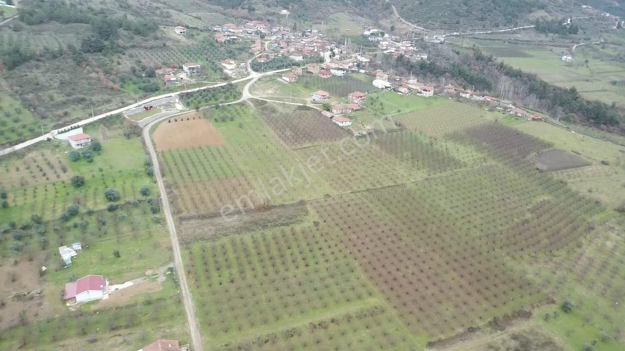 Sakarya / Geyve / Burhaniye Mahallesi’nde Asfalt Yola Cepheli – %40 Konut İmarlı 2 Adet Arsa - Görsel 9