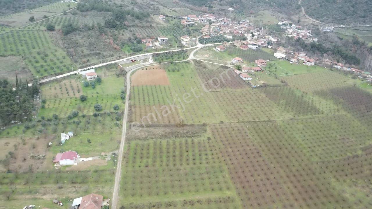 Sakarya / Geyve / Burhaniye Mahallesi’nde Asfalt Yola Cepheli – %40 Konut İmarlı 2 Adet Arsa - Görsel 8