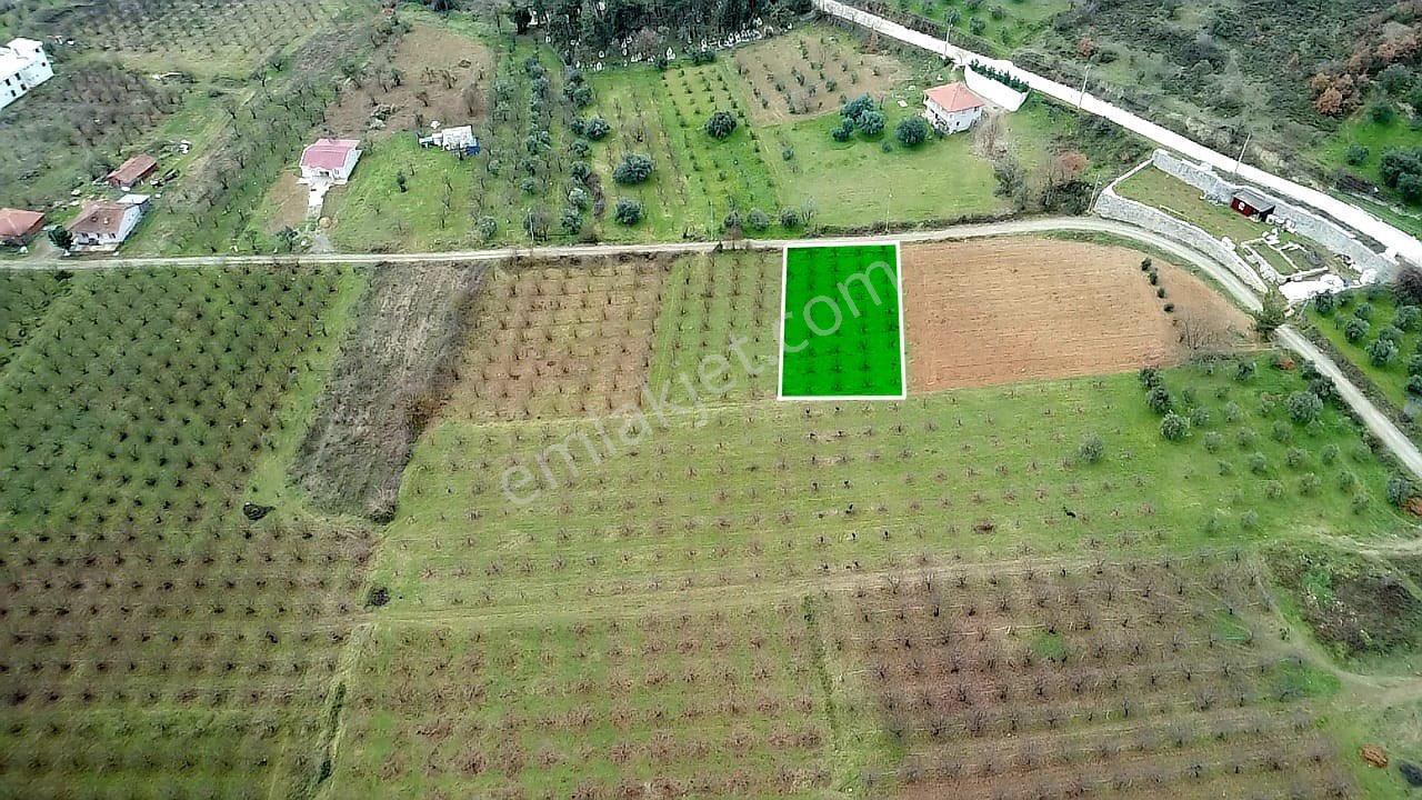 Sakarya / Geyve / Burhaniye Mahallesi’nde Asfalt Yola Cepheli – %40 Konut İmarlı 2 Adet Arsa - Görsel 3