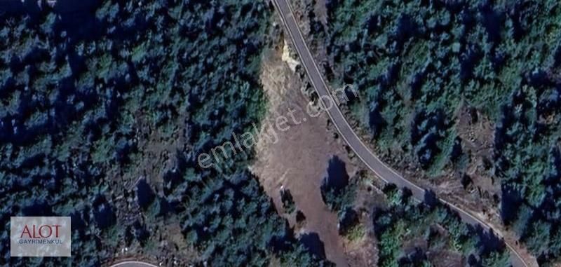 Sakarya Geyve Hacılar Mah. 1800m2 Arsa - Görsel 3