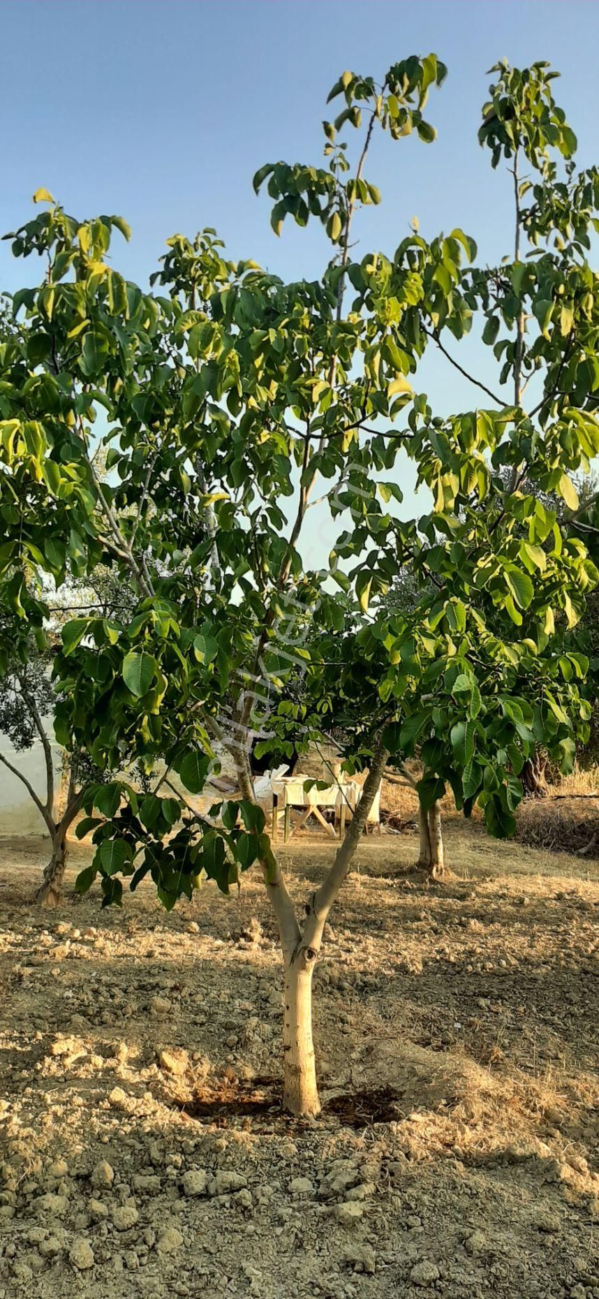 Kaçmaz Fırsat. Fiyat Düştü... - Görsel 6