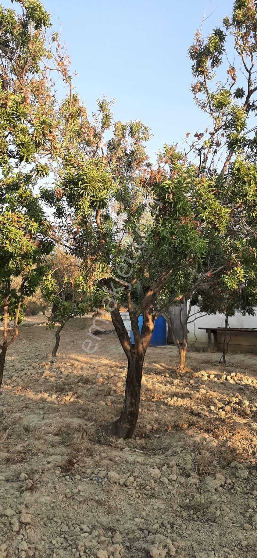 Kaçmaz Fırsat. Fiyat Düştü... - Görsel 7