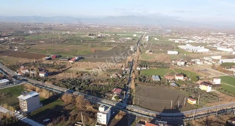 İmar Sınırında Asfalt Yola Fırsat Arazi - Görsel 6