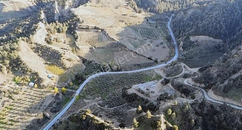 Karaağaç Yoluna Sıfır Yatırımlık Arazi - Görsel 3