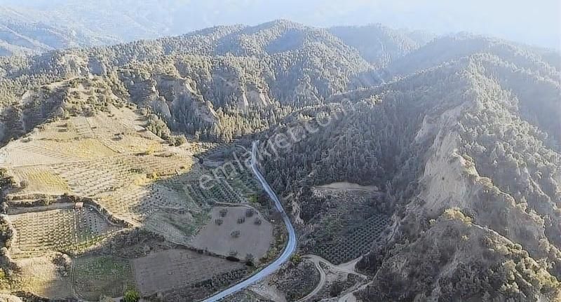 Karaağaç Yoluna Sıfır Yatırımlık Arazi - Görsel 5
