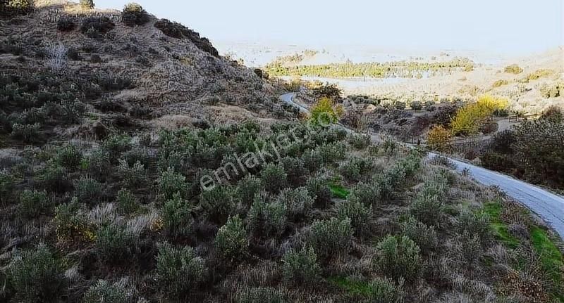 Karaağaç Yoluna Sıfır Yatırımlık Arazi - Görsel 13