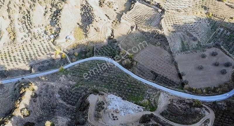 Karaağaç Yoluna Sıfır Yatırımlık Arazi - Görsel 17