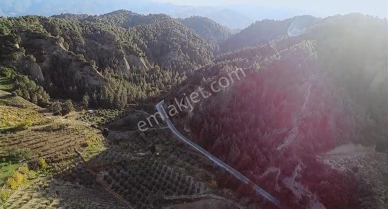 Karaağaç Yoluna Sıfır Yatırımlık Arazi - Görsel 2