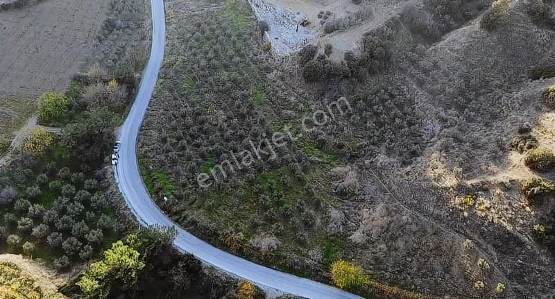 Karaağaç Yoluna Sıfır Yatırımlık Arazi - Görsel 6