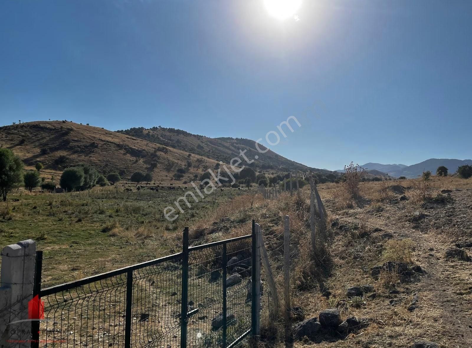 Erenkaya'da Etrafı Telli Kaynak Sulu 2622m2 Satılık Bahçe - Görsel 10
