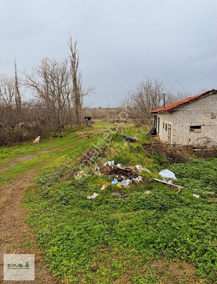 Epa Emre Koç'tan Pınarhisar Tozaklı Köyü Çiftlik Evi Ve Arazisi - Görsel 7
