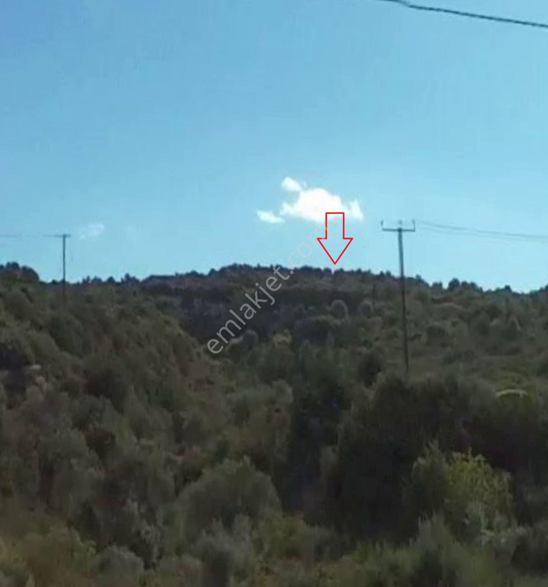 İskele Sipahi De Deniz Manzaralı Yatırımlık 750 M2 Fırsat Arazi - Görsel 8