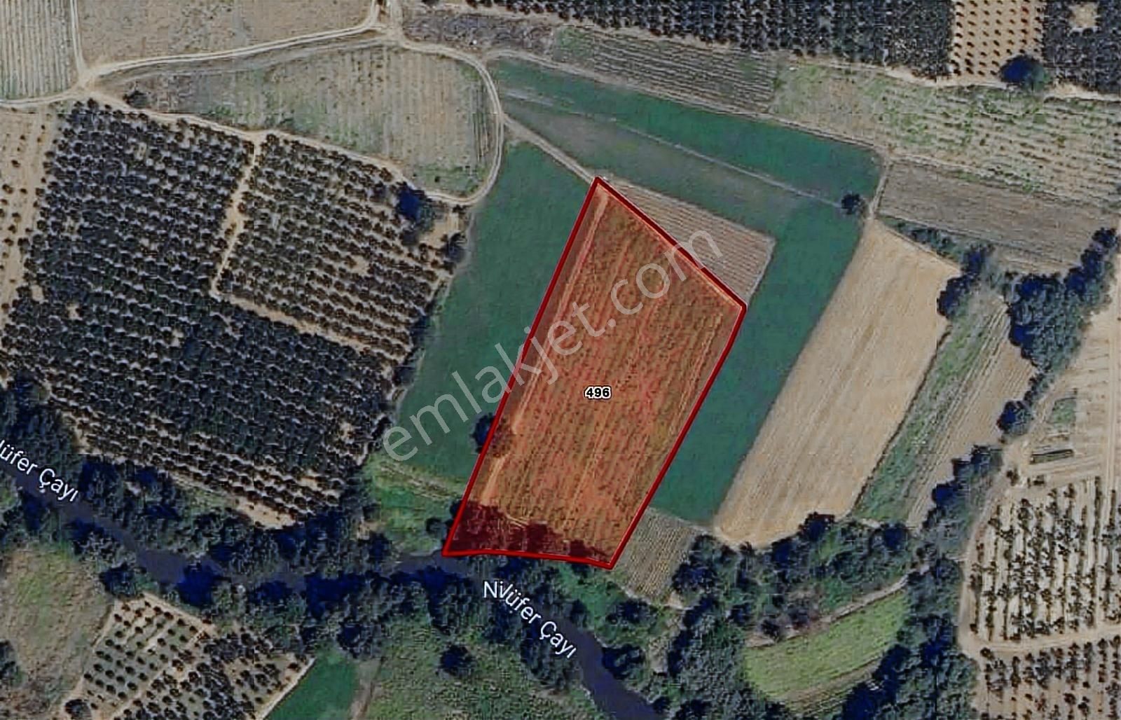 Bursa Mudanya Dedeköy 1/6 Hisseli Tarla - Görsel 5