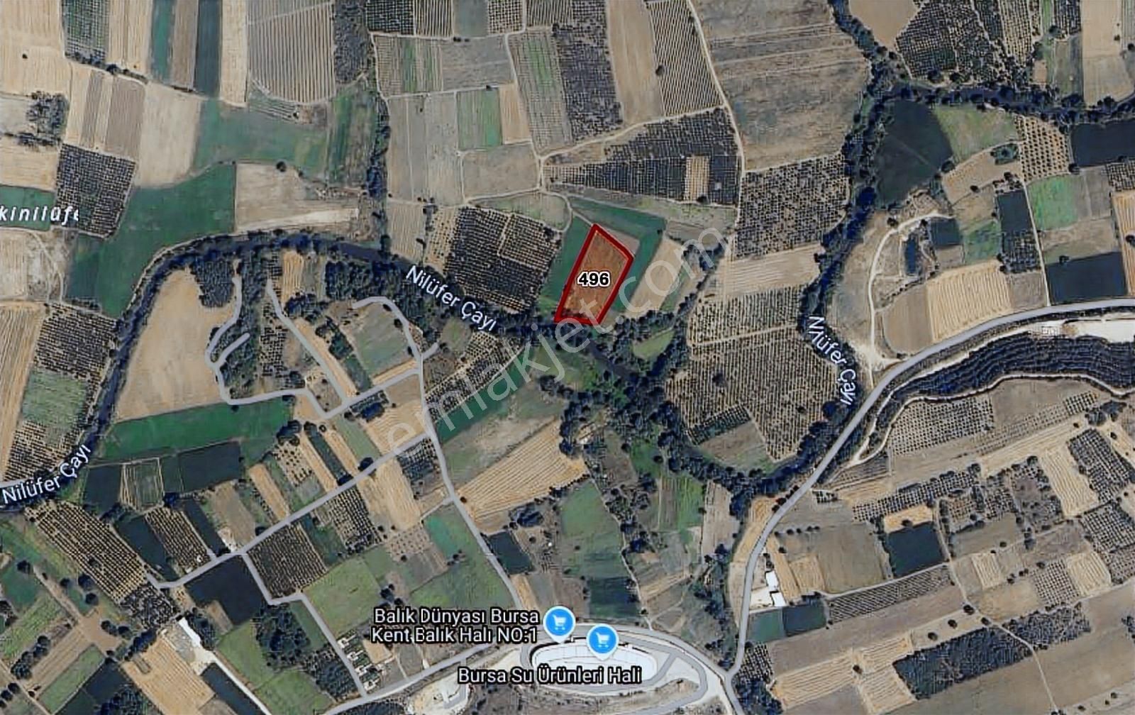 Bursa Mudanya Dedeköy 1/6 Hisseli Tarla - Görsel 4
