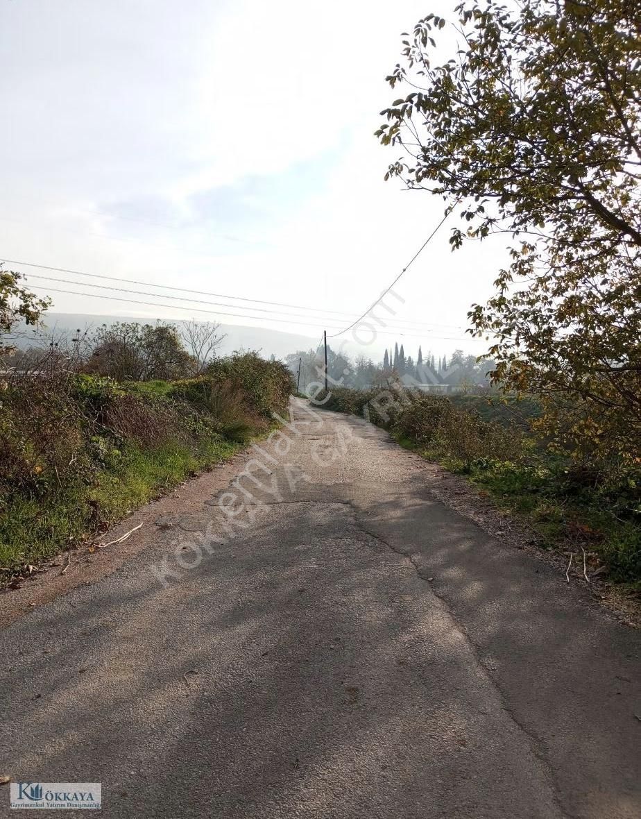 Hasanağa Da Satılık Resmi Yola Cephe Hobi Bahçesi - Görsel 7