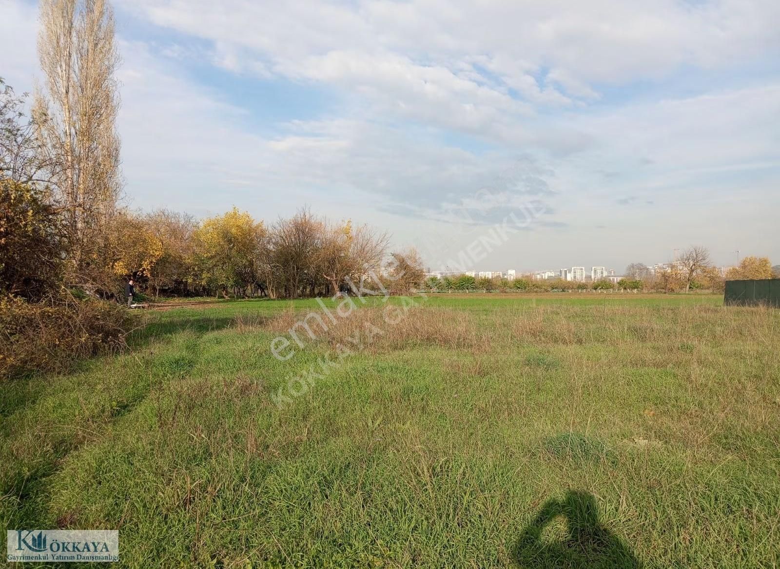 Hasanağa Da Satılık Resmi Yola Cephe Hobi Bahçesi - Görsel 9