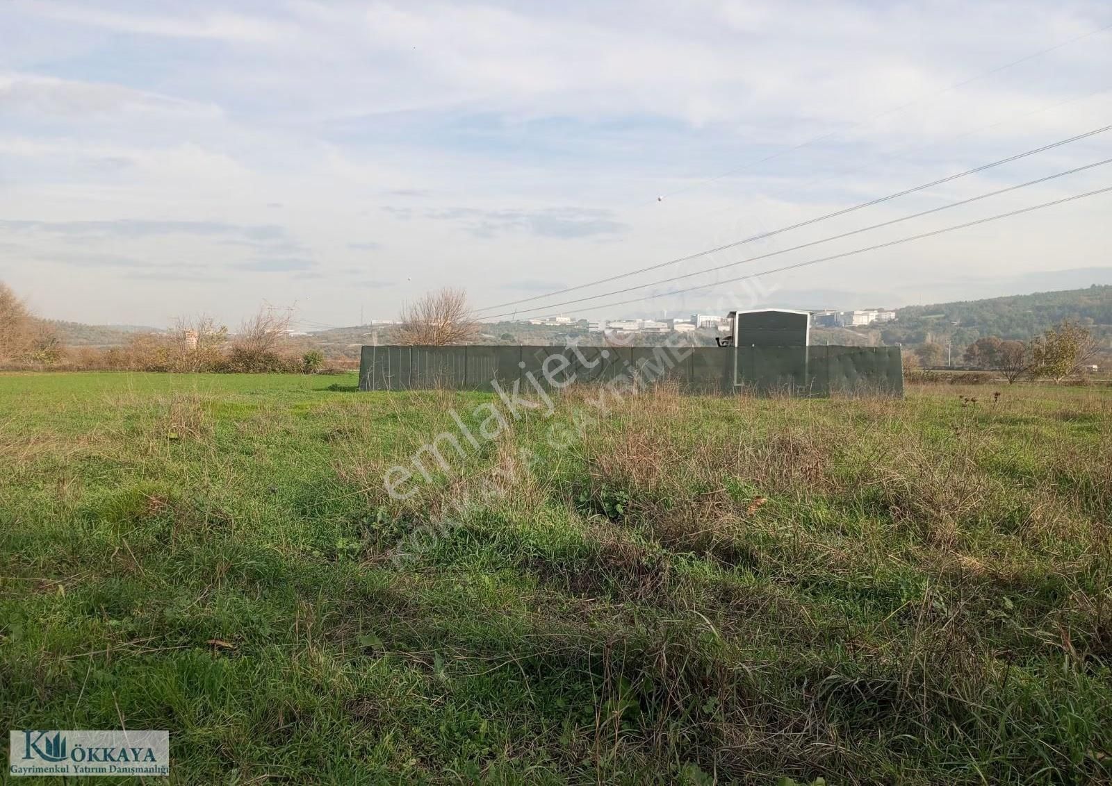 Hasanağa Da Satılık Resmi Yola Cephe Hobi Bahçesi - Görsel 4