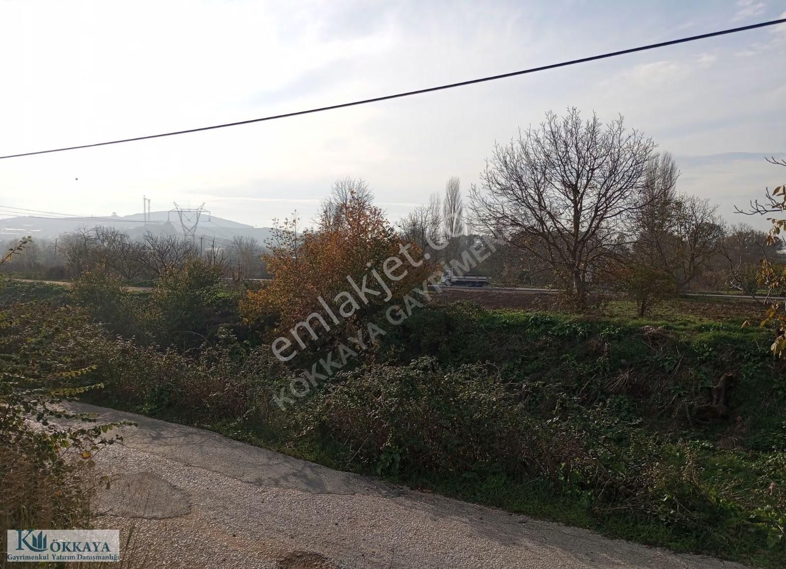 Hasanağa Da Satılık Resmi Yola Cephe Hobi Bahçesi - Görsel 5