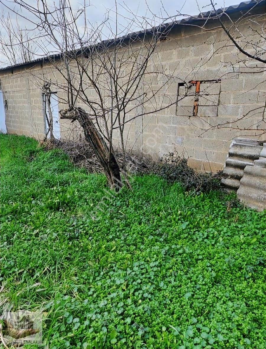 Ormankadı Da Köy Evi - Görsel 8