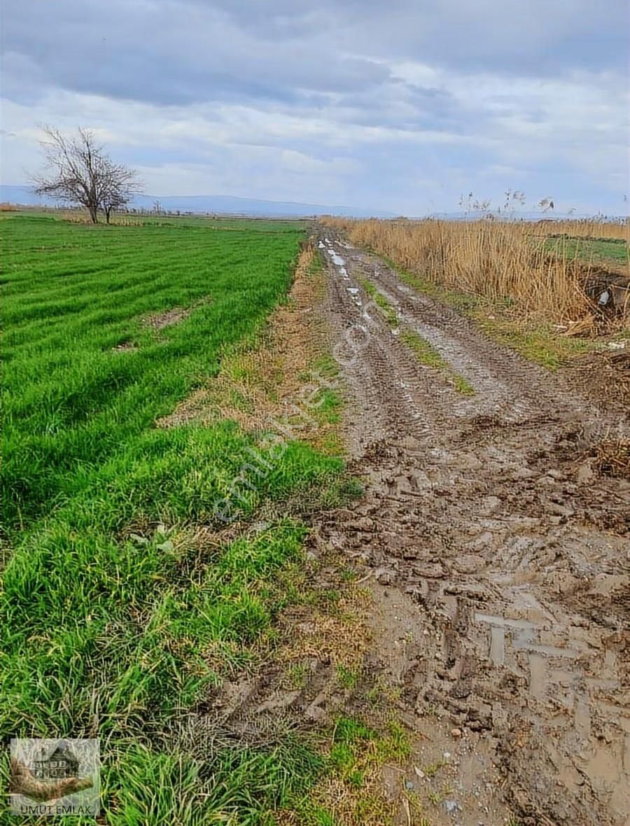 Ormankadıda Satılık Tarla