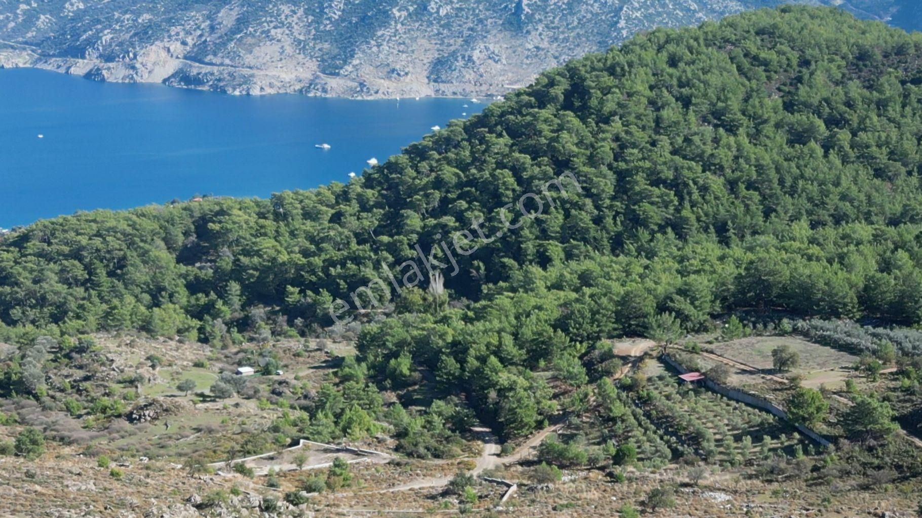 Joker: Marmaris Selimiye Gelişime Açık Konumda Yatırıma Uygun Tarla - Görsel 2