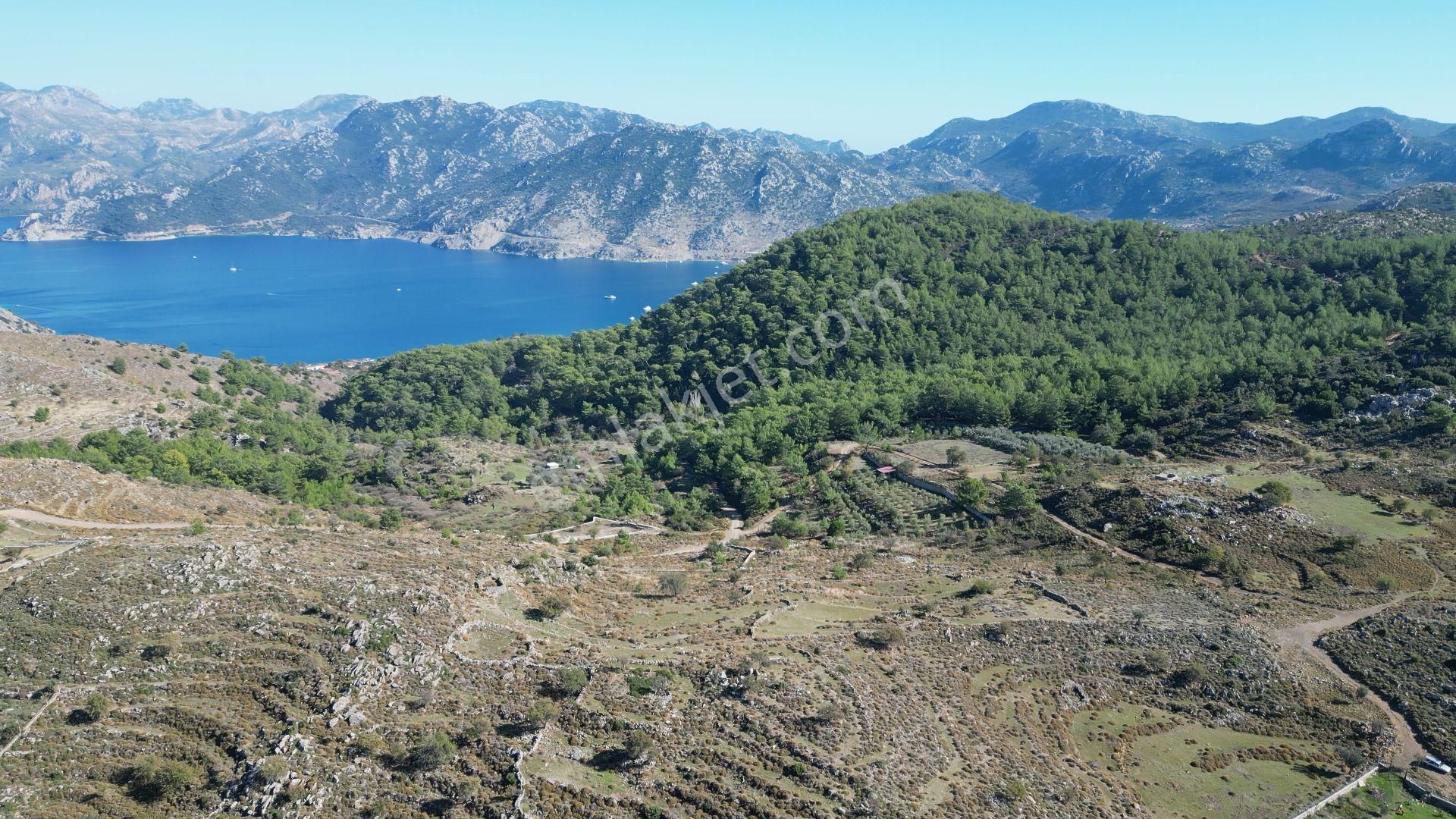 Joker: Marmaris Selimiye Gelişime Açık Konumda Yatırıma Uygun Tarla - Görsel 9