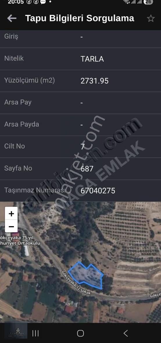 Yola Sıfır Merkezi Konumda