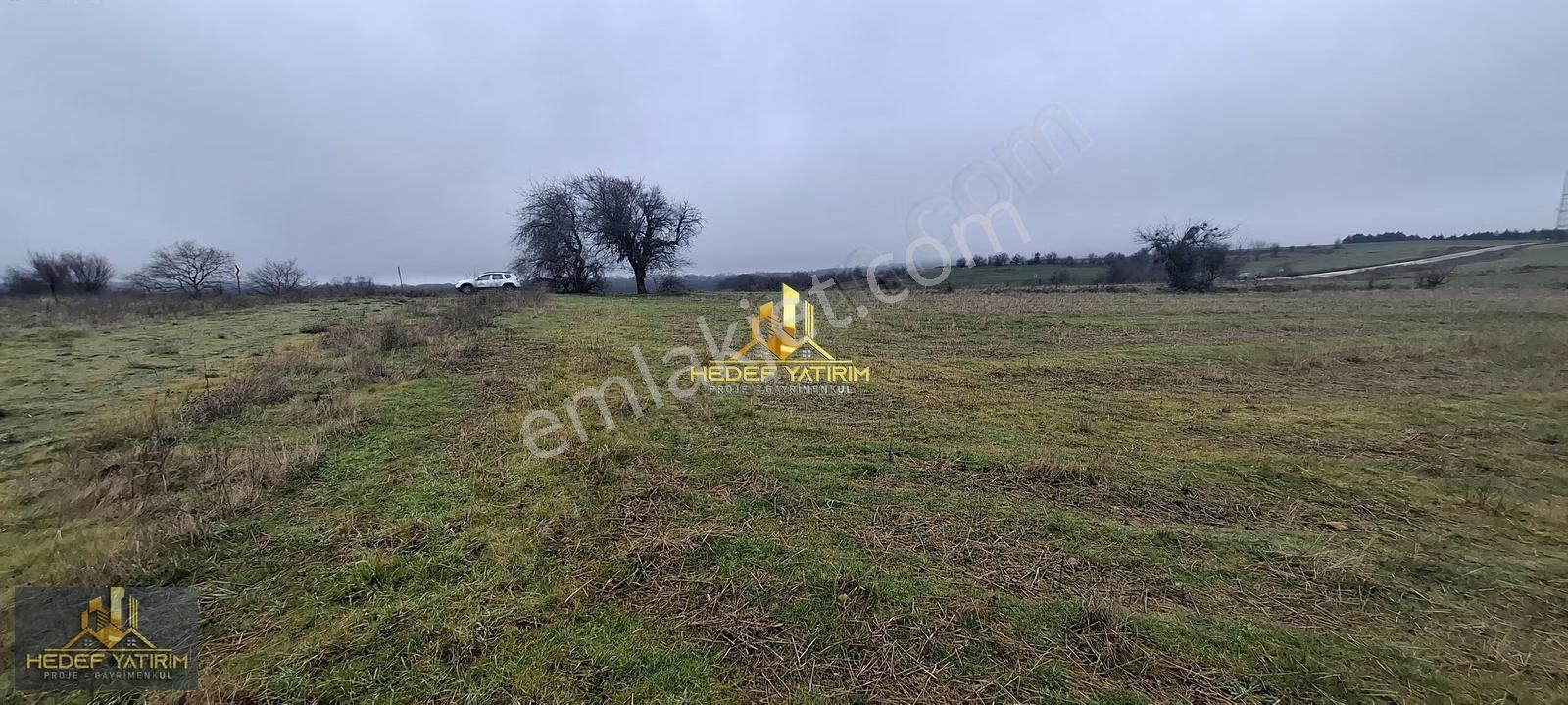 Asfalt Yola Cepheli Emsalsiz Tek Tapu Arazi [ 1.431 M2 ] - Görsel 10