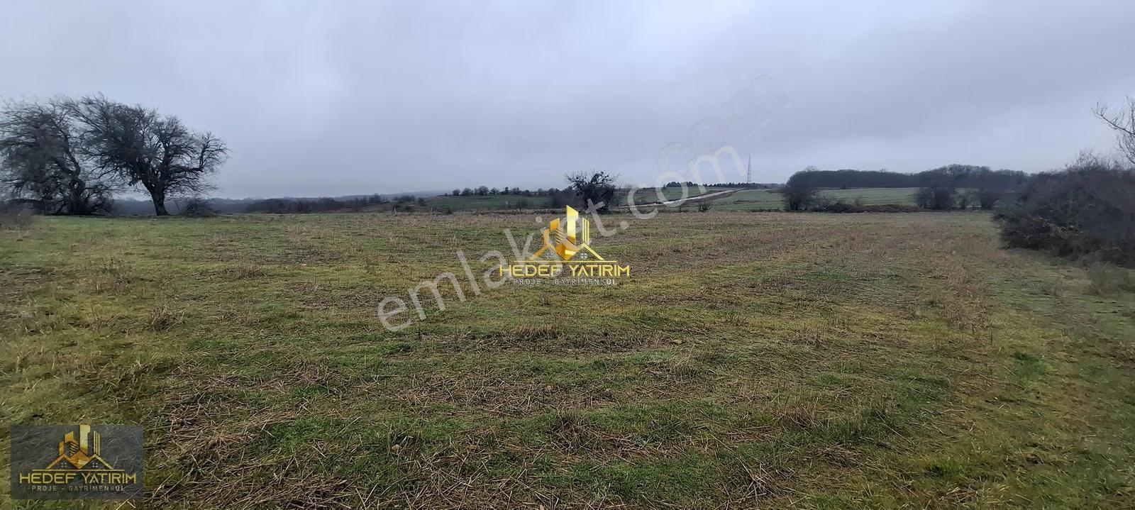 Asfalt Yola Cepheli Emsalsiz Tek Tapu Arazi [ 1.431 M2 ] - Görsel 9