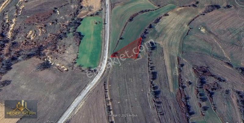 Asfalt Yola Cepheli Emsalsiz Tek Tapu Arazi [ 1.431 M2 ] - Görsel 2