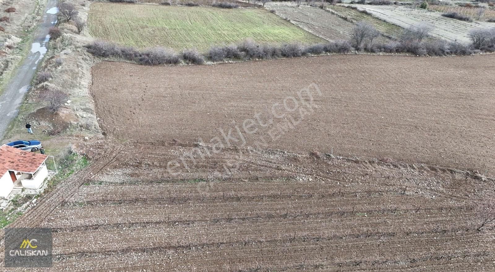 Büyükyıldız'da Satılık 1750 M2 Hobi Bahçeleri -yolu Açık- - Görsel 5