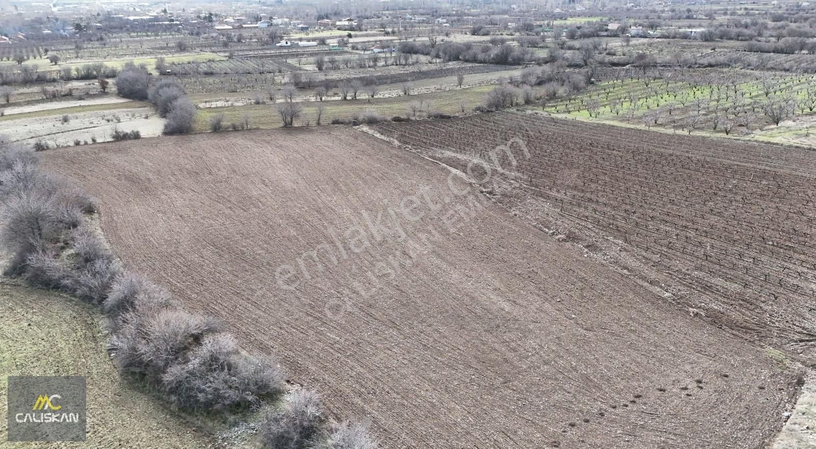 Büyükyıldız'da Satılık 1750 M2 Hobi Bahçeleri -yolu Açık- - Görsel 2