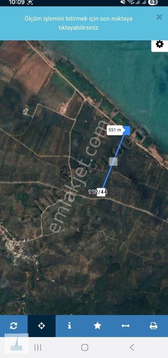 Bursa Orhangazi Heceler Mahallesi 581 M2 Bakımlı Zeytinlik - Görsel 3