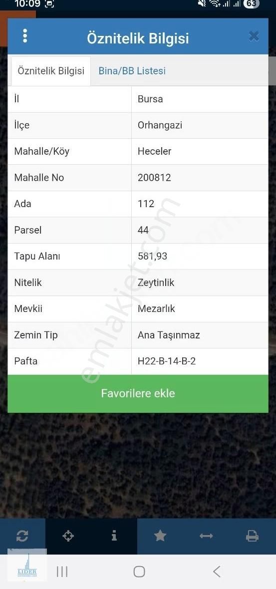 Bursa Orhangazi Heceler Mahallesi 581 M2 Bakımlı Zeytinlik - Görsel 6