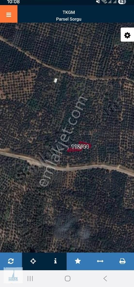 Bursa Orhangazi Heceler Mahallesi 581 M2 Bakımlı Zeytinlik - Görsel 8