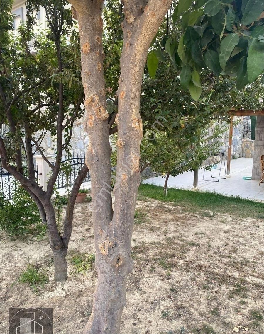 Aydın Kuşadası Kadınlardenizi İlközge Sitesi 3+1 Satılık Villa - Görsel 3