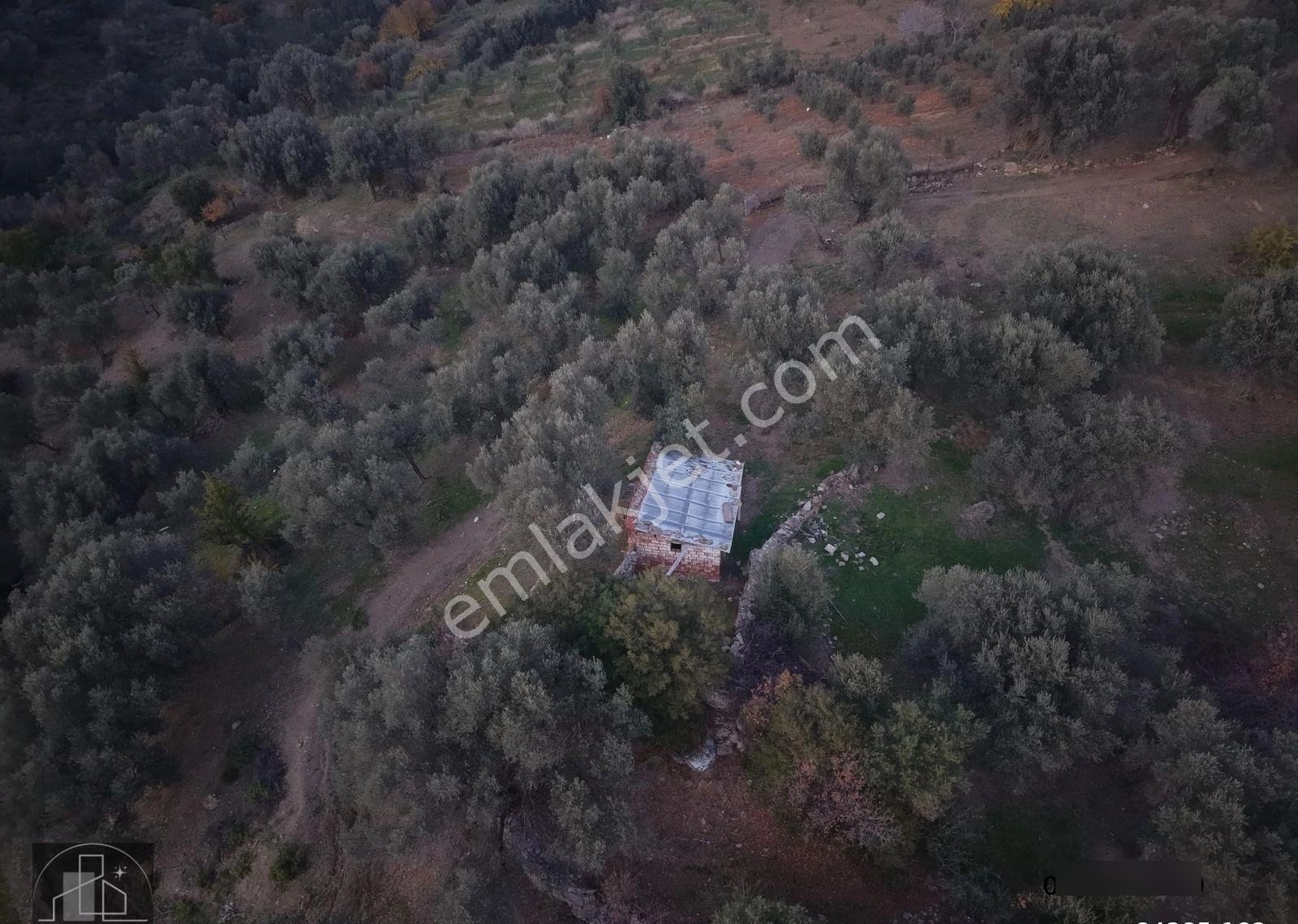 İzmir Seferihisar Beyler Köyü Manzaralı Yola Cepheli 17.200 M² - Görsel 5