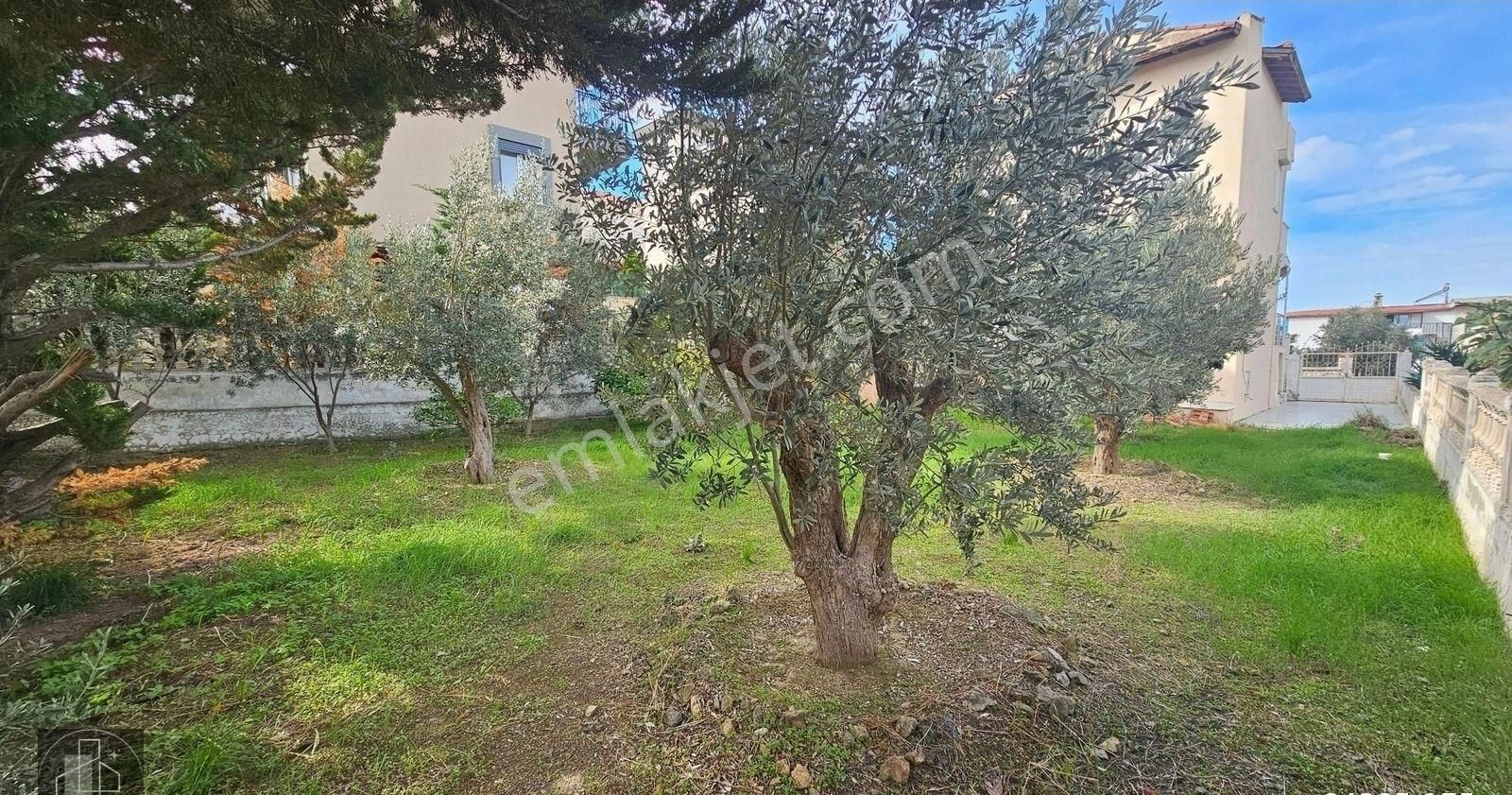 İzmir / Seferihisar / Akarca Elmastaş Mevkii Satılık Arsa - Görsel 12