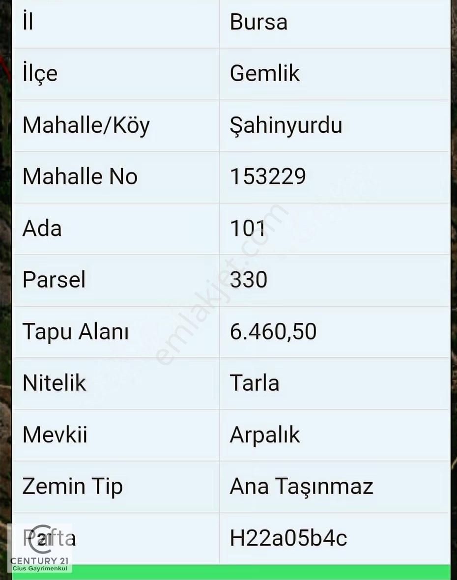 C21 Cius; Gemlik Şahinyurdu'nda En Uygun 6460m2 Tarla Satılık - Görsel 9