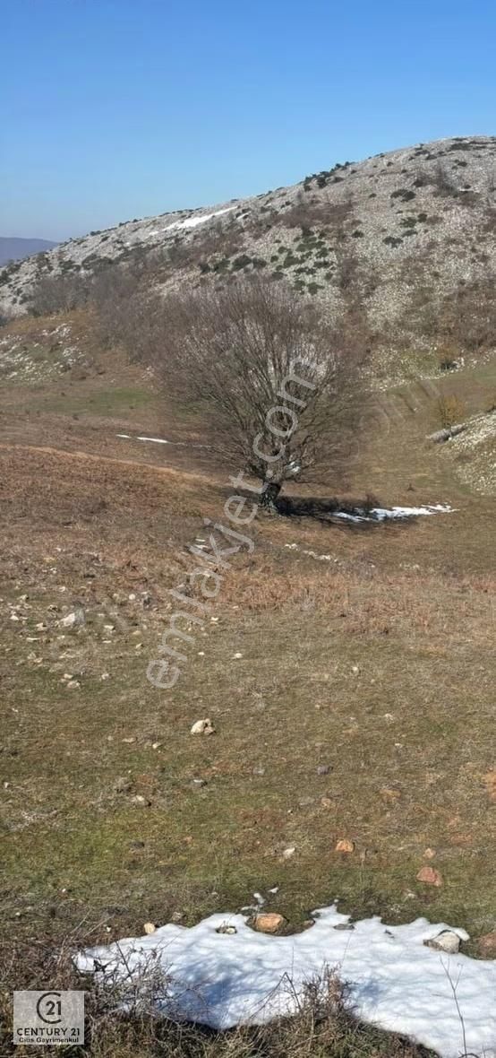C21 Cius; Gemlik Şahinyurdu'nda En Uygun 6460m2 Tarla Satılık - Görsel 11