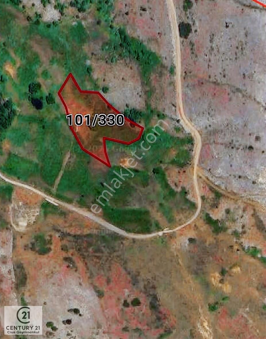 C21 Cius; Gemlik Şahinyurdu'nda En Uygun 6460m2 Tarla Satılık - Görsel 12